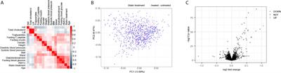 Statin Treatment Induced a Lipogenic Expression Hierarchical Network Centered by SREBF2 in the Liver